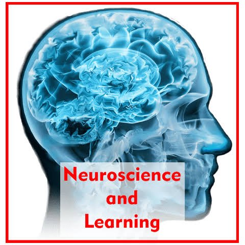 Neuroscience-Based Learning untuk Meningkatkan Literasi Membaca Siswa Lambat Belajar